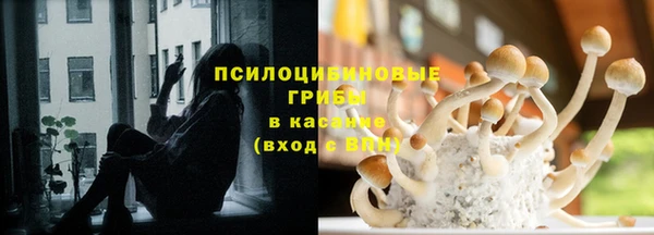 герыч Коряжма