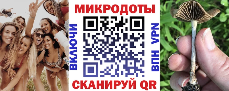 Купить  Благодарный  Псилоцибиновые грибы мицелий 